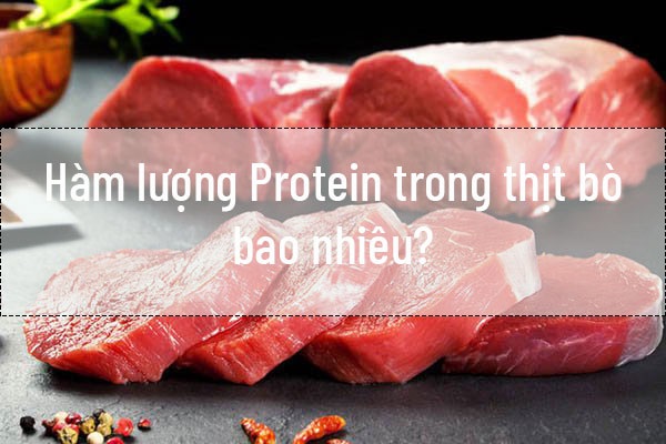 hàm lượng protein trong thịt bò bao nhiêu