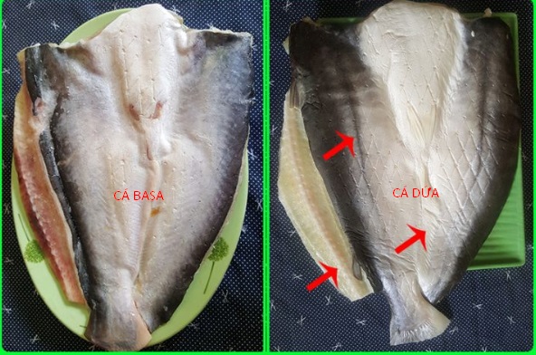 phân biệt cá dứa và cá basa